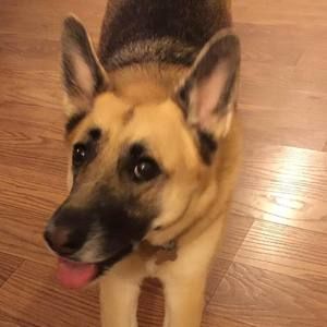 Meet your Posher, Richard